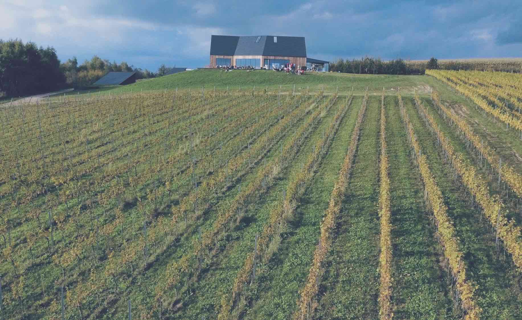 Winnica Jura house above the vineyard
